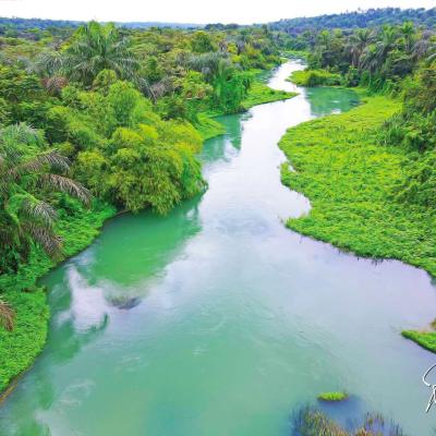 African Maritime Art Exhibition 14