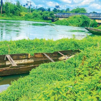 African Maritime Art Exhibition 31